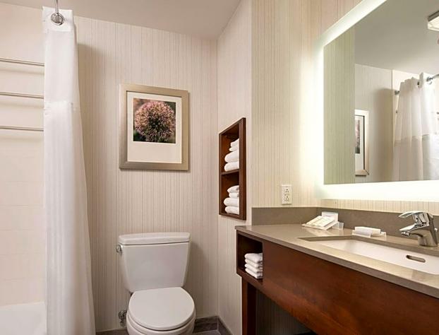 Hilton Garden Inn Long Island City New York hotel detail image 4