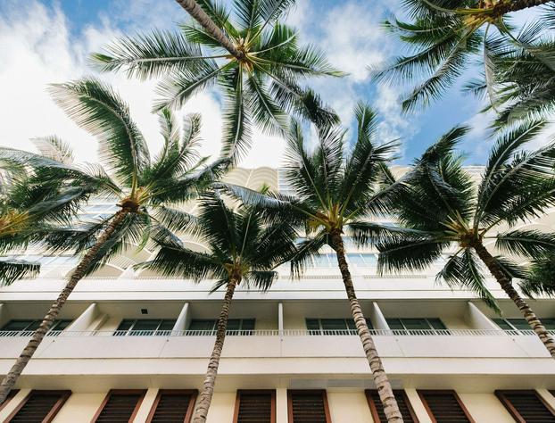 Hilton Vacation Club The Modern Honolulu hotel detail image 3